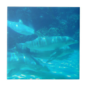 Escola do azulejo dos golfinhos