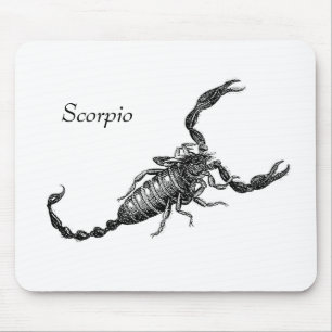 Escorpião Mousepad
