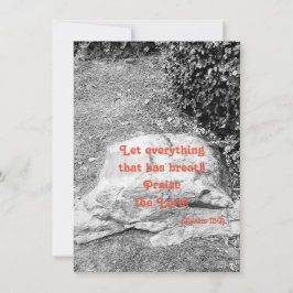 Escritura de um Cartão de Saudação Simples Elogist