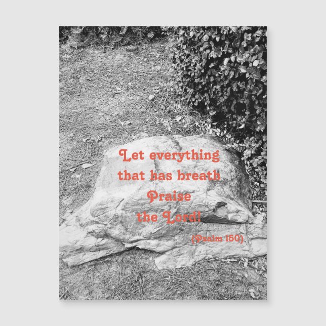 Escritura do Cartão Magnético Elogista (Frente)