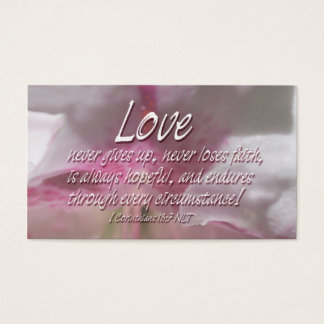 Escrituras de Amor do BC