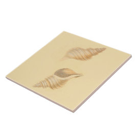 Escudos náuticos do mar dos azulejos do tema