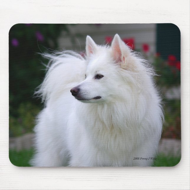 Eskie régio Mousepad (Frente)