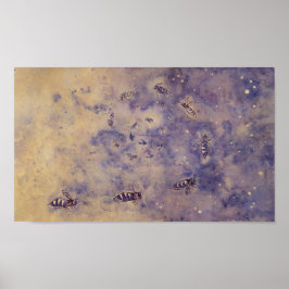 Espaço Abelhas Poster
