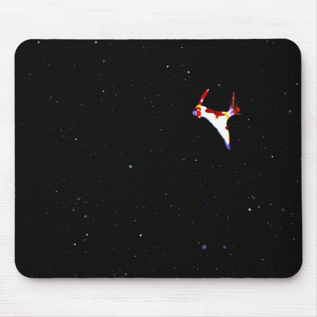 Espaço Nudibranch Mousepad (Frente)