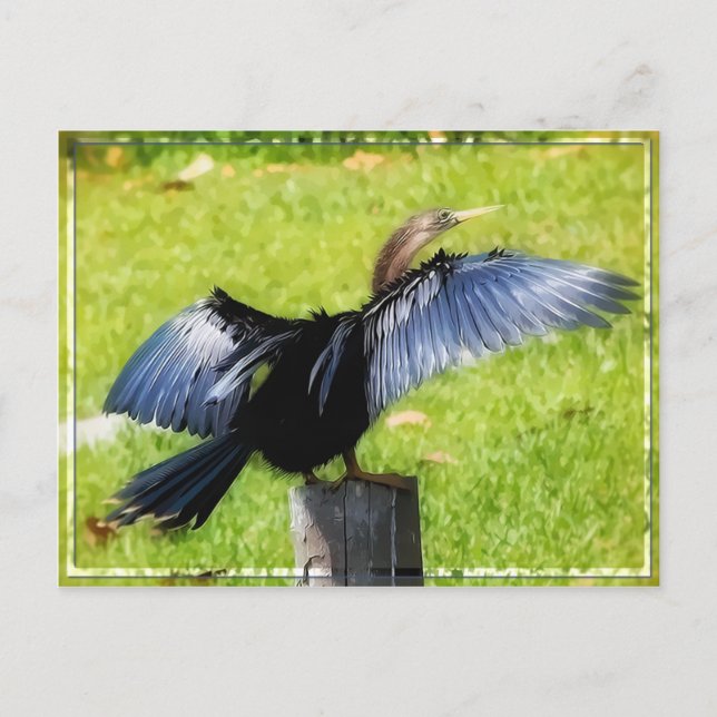 Espalhe seu cartão postal Wings (Frente)