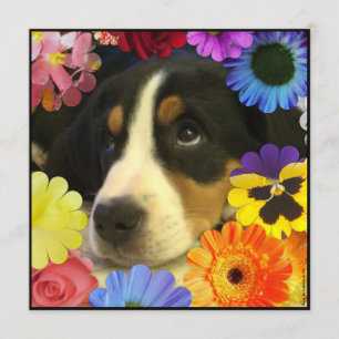 Espanhol: Convite de cumpleaños/ Aniversário