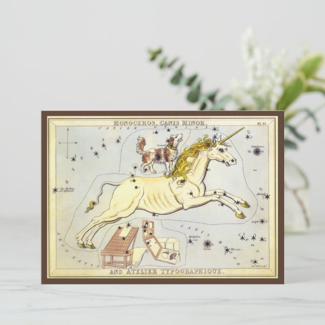 Espelho da Urânia, Mapa Celestial da Astronomia Vi (Em pé/Frente)