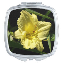 Hemerocallis Amarelo