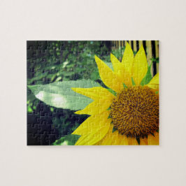 Esperançosa Quebra-cabeça de Varsóvia de Autoatend