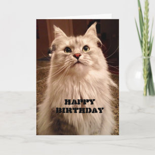 Esperando pacientemente pelo cartão de aniversário