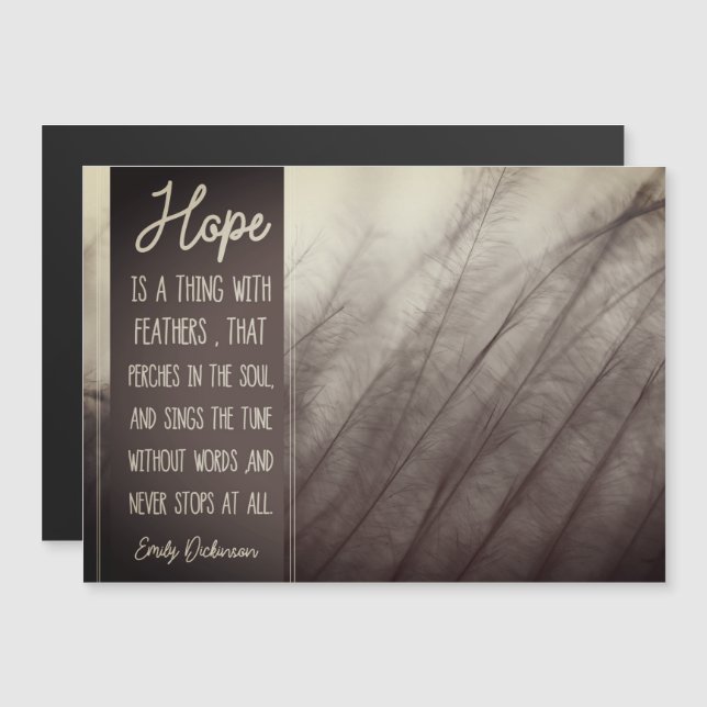 ESPERE uma coisa com penas (Frente/Verso)