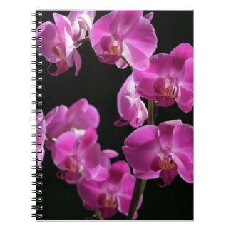 Espiral A orquídea floresce caderno