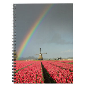 Espiral Arco-íris, tulipas e caderno do moinho de vento