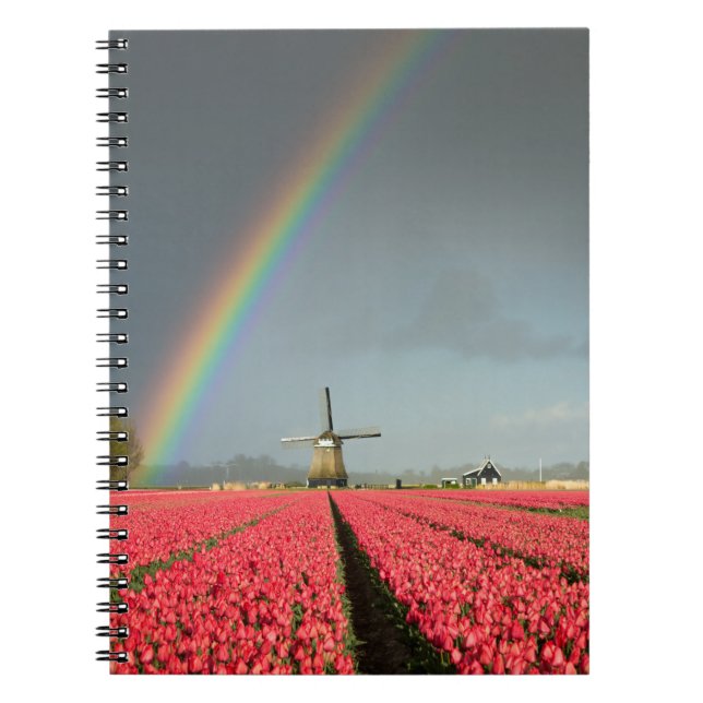 Espiral Arco-íris, tulipas e caderno do moinho de vento (Frente)