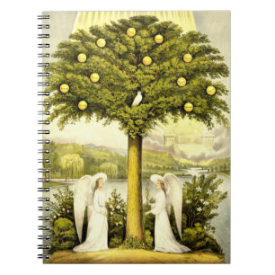 Espiral Árvore do caderno da vida