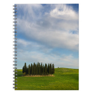 Espiral Árvores de Cypress no caderno de Toscânia