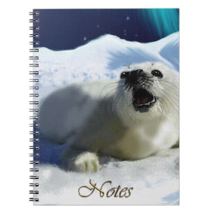 Espiral Aurora, Floe de gelo & caderno dos animais