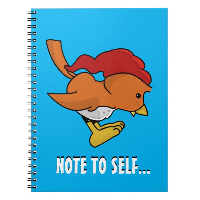 Espiral Birzy | O Caderno do Whippoorwill (Frente)