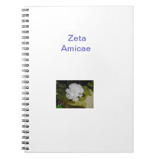 Espiral Caderno