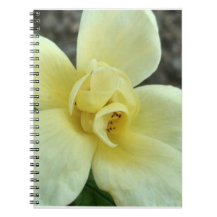 Espiral Caderno amarelo da flor