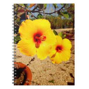 Espiral Caderno amarelo da foto do hibiscus