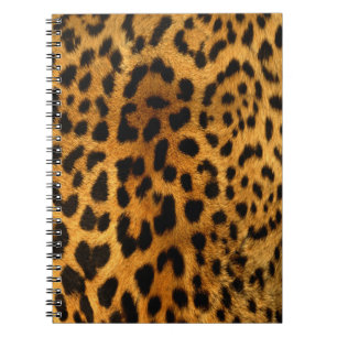 Espiral Caderno autêntico da textura da pele do leopardo