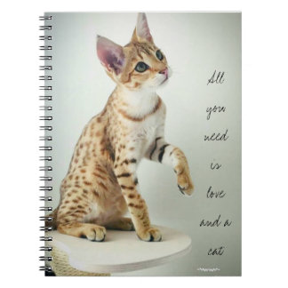 Espiral Caderno bonito do amante do gato