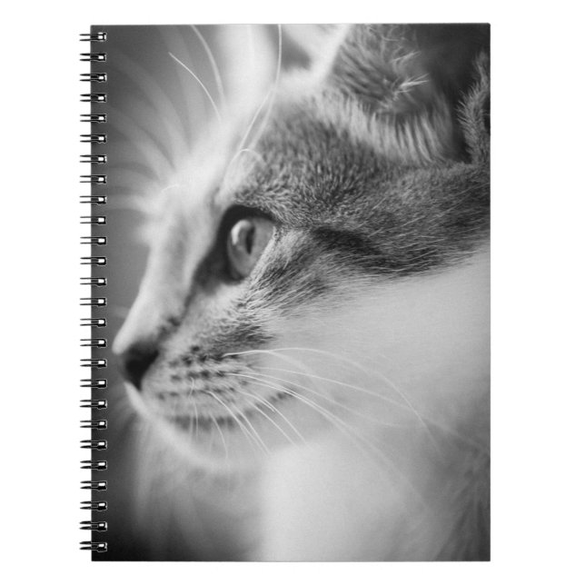 Espiral Caderno bonito do gatinho (Frente)