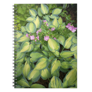 Espiral Caderno Botânico Flor da Paixão Verde Tropical