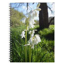 Espiral Caderno branco dos Bluebells