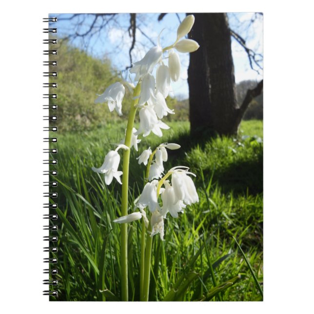 Espiral Caderno branco dos Bluebells (Frente)