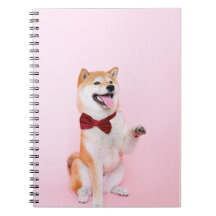 Caderno Cachorro Com Um Laço