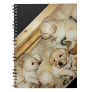 Espiral Caderno com a foto de filhotes de cachorro