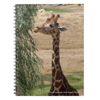 Espiral Caderno com fome do girafa