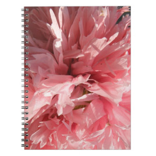 Espiral Caderno cor-de-rosa bonito da papoila