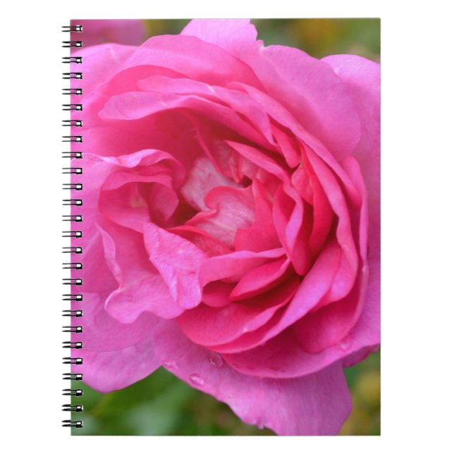 Espiral Caderno cor-de-rosa cor-de-rosa de novembro (Frente)