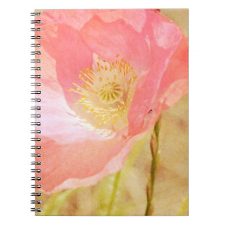 Espiral Caderno cor-de-rosa da papoila de Islândia