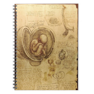 Espiral Caderno da anatomia do feto de da Vinci