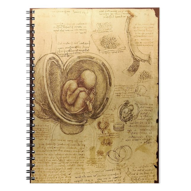 Espiral Caderno da anatomia do feto de da Vinci (Frente)