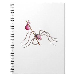 Espiral Caderno da aranha do vagabundo