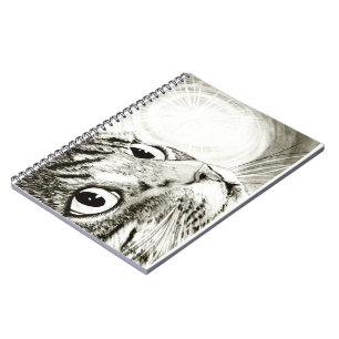 Espiral Caderno da arte do desenho da luz feericamente de