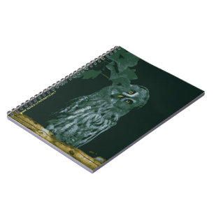 Espiral Caderno da Coruja Cinzenta Maior