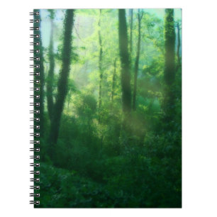 Espiral Caderno da fertilidade