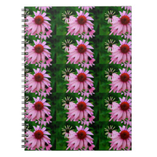 Espiral caderno da flor do echinacea