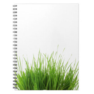 Espiral Caderno da grama