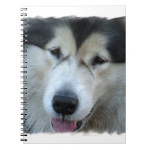 Espiral Caderno da imagem do Malamute do lobo