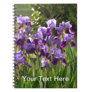 Espiral Caderno da íris