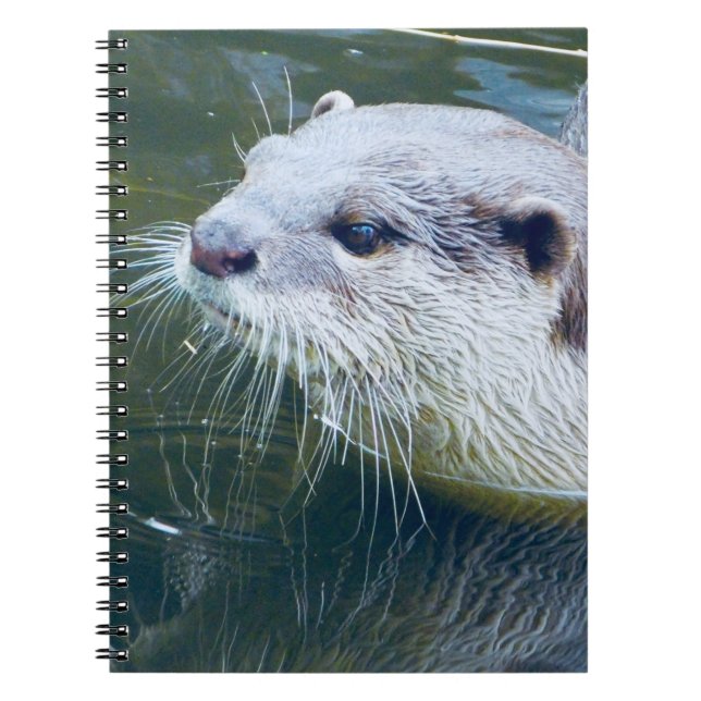 Espiral Caderno da lontra (Frente)