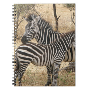 Espiral Caderno da zebra da mãe e do bebê